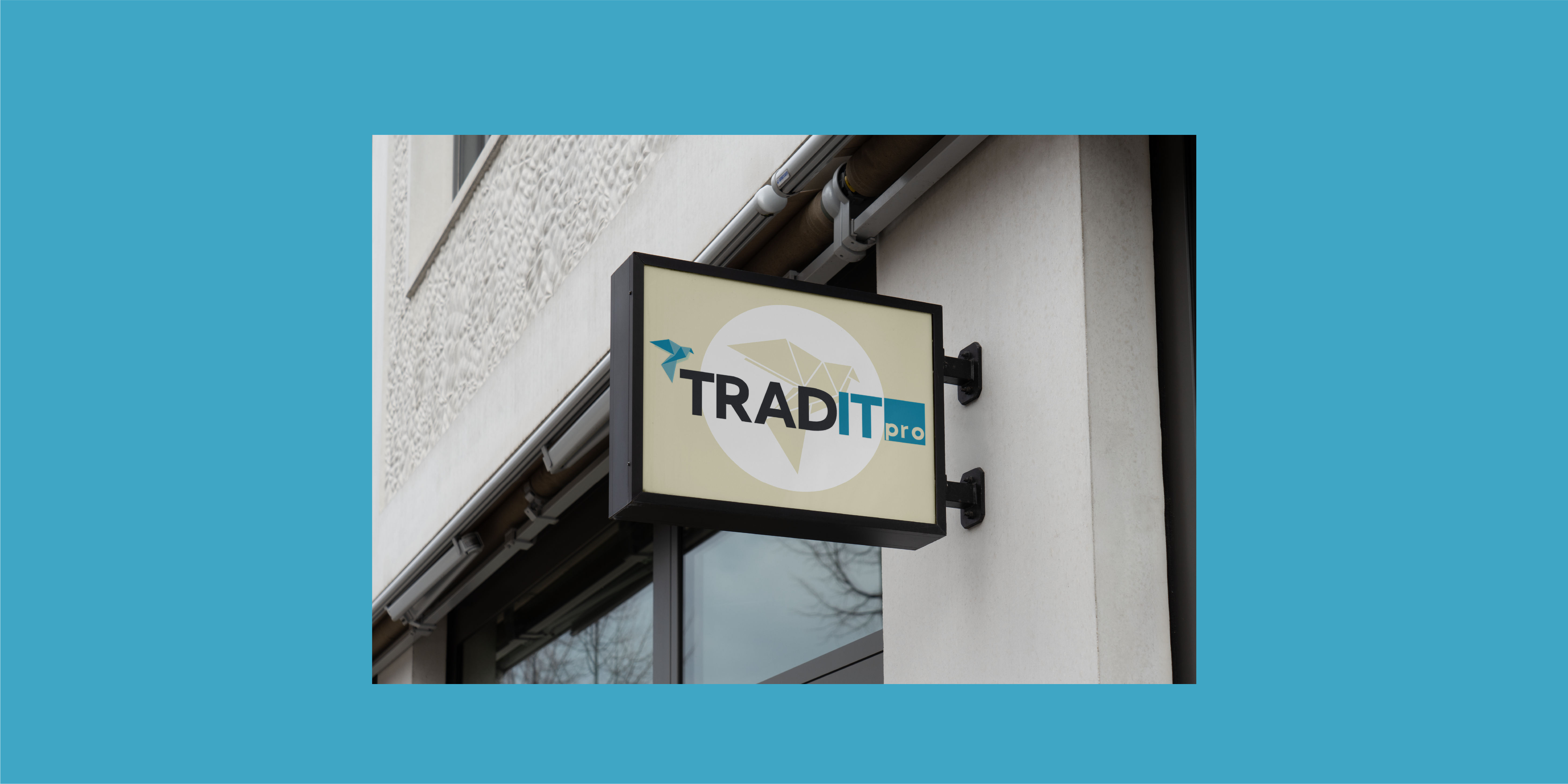 Branding / Tradit Pro - Imagen 10