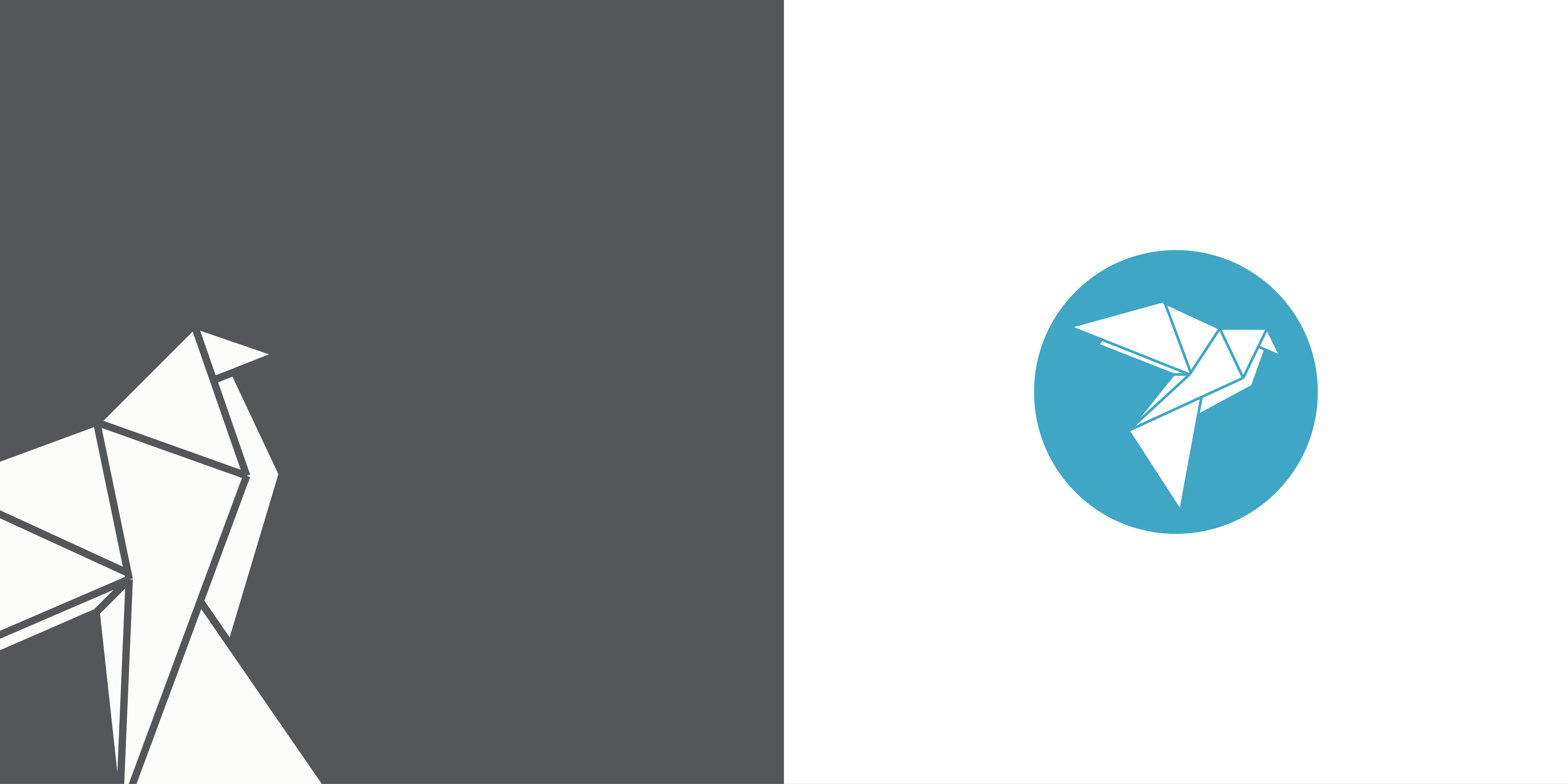 Branding / Tradit Pro - Imagen 8